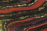 Polished Tiger Iron Stromatolite - ( Billion Years) #72897-1